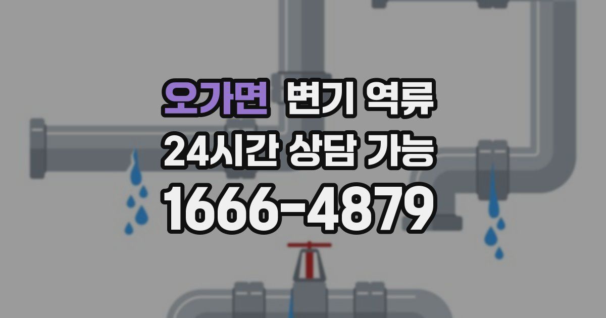 오가면 변기 역류