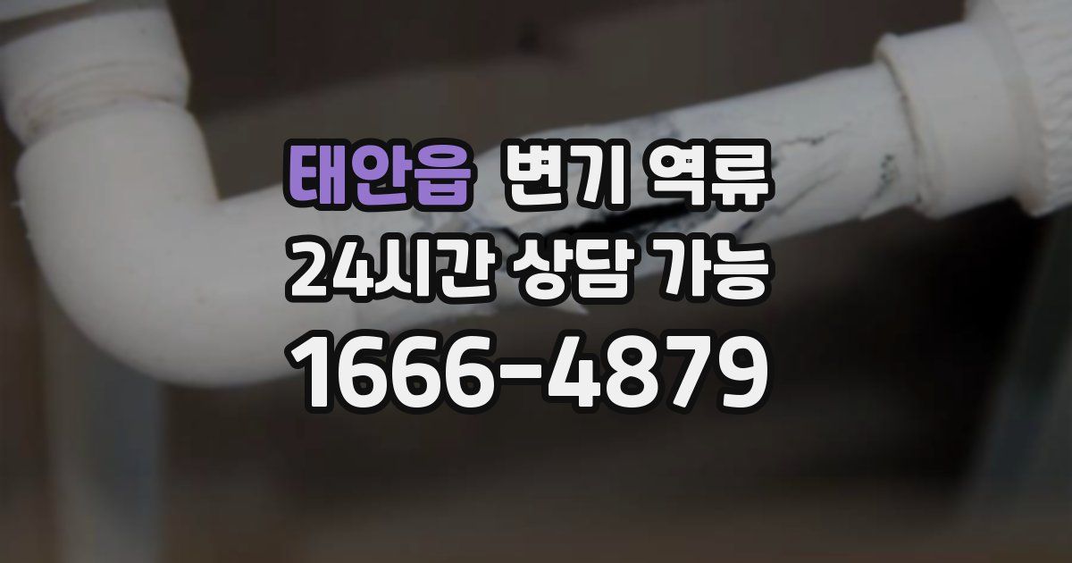 태안읍 변기 역류