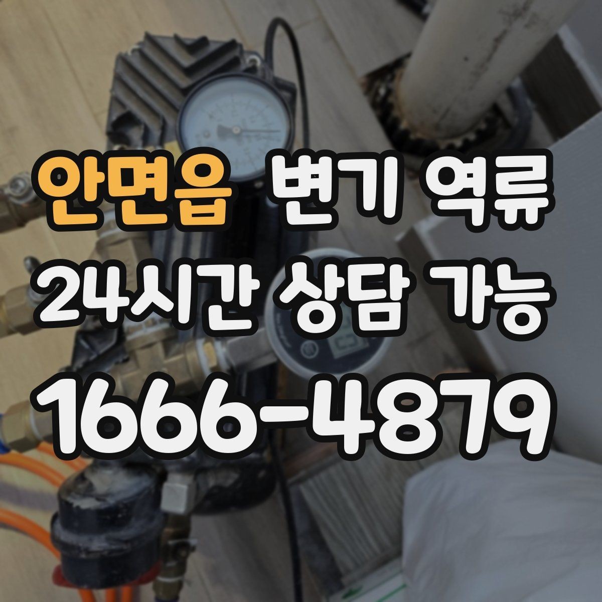 안면읍 변기 역류 과도한 세제 사용이 문제를 키울 수 있을까