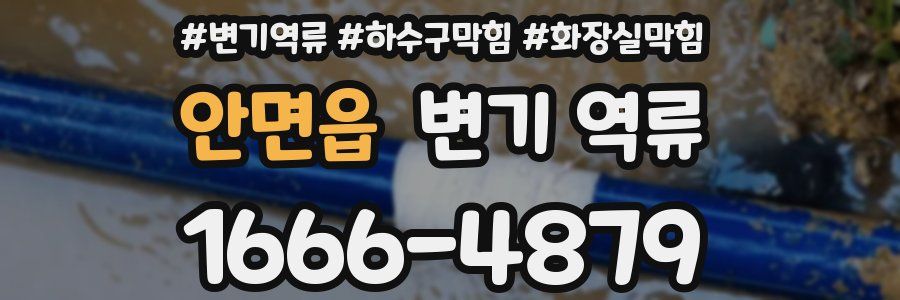 안면읍 변기 역류