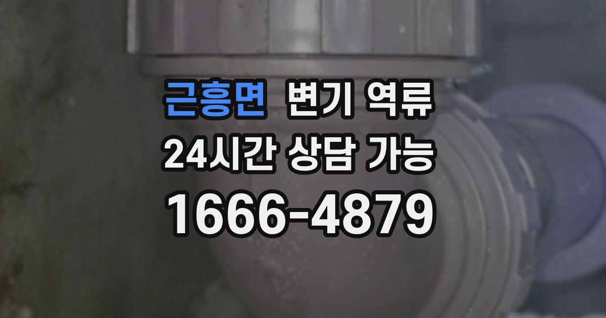 근흥면 변기 역류