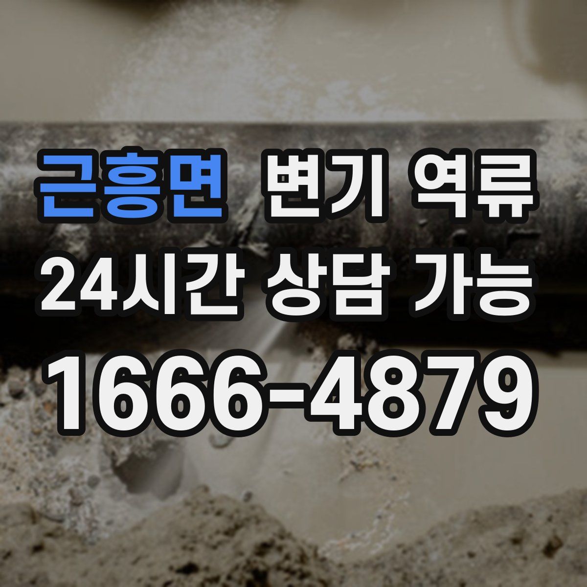 근흥면 변기 역류