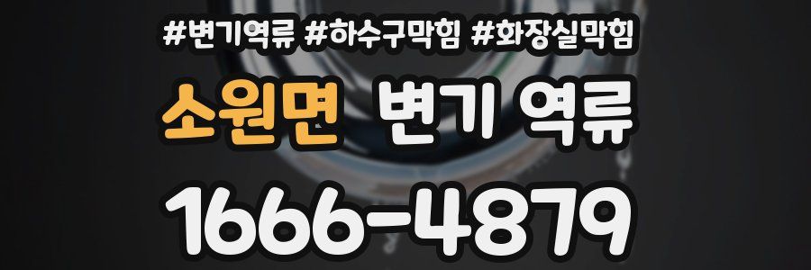 소원면 변기 역류