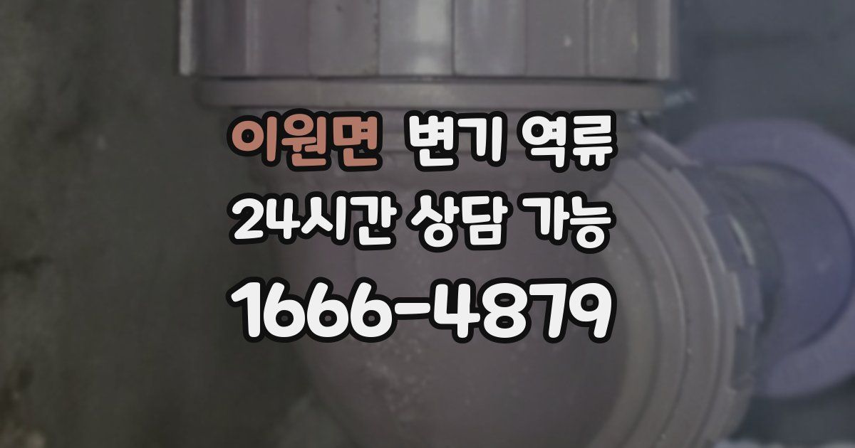 이원면 변기 역류