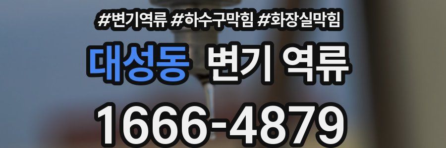 대성동 변기 역류