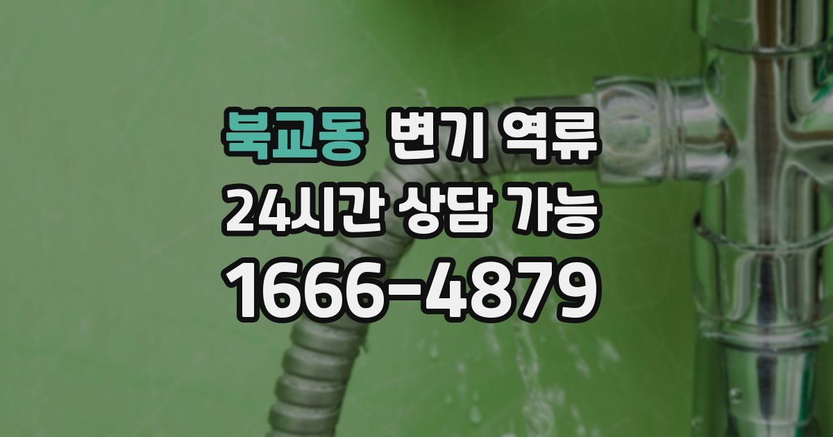 북교동 변기 역류