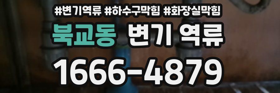 북교동 변기 역류