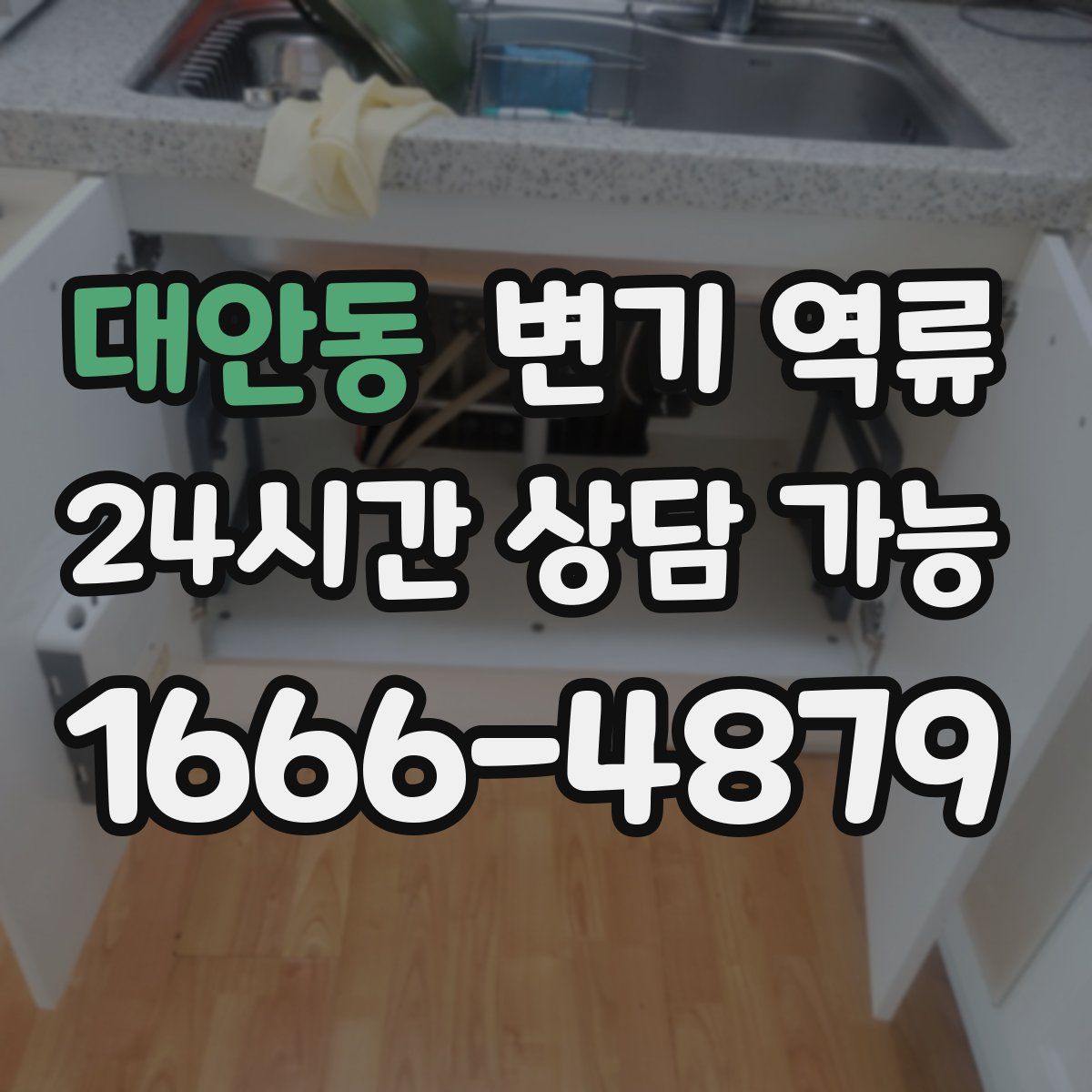 대안동 변기 역류