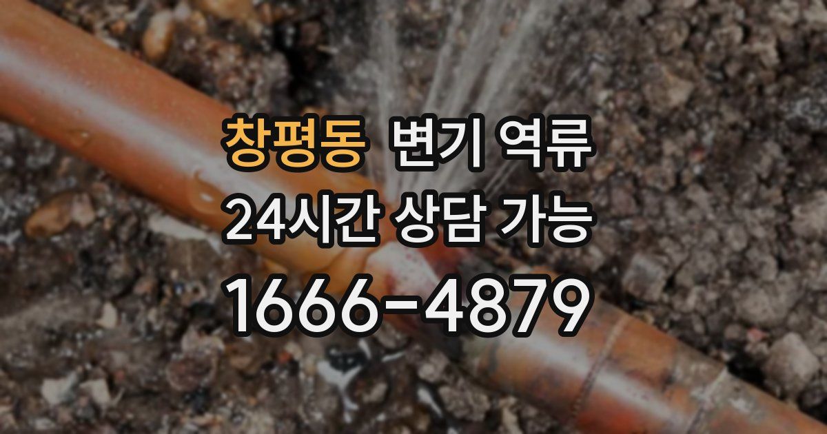 창평동 변기 역류