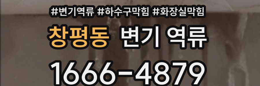 창평동 변기 역류