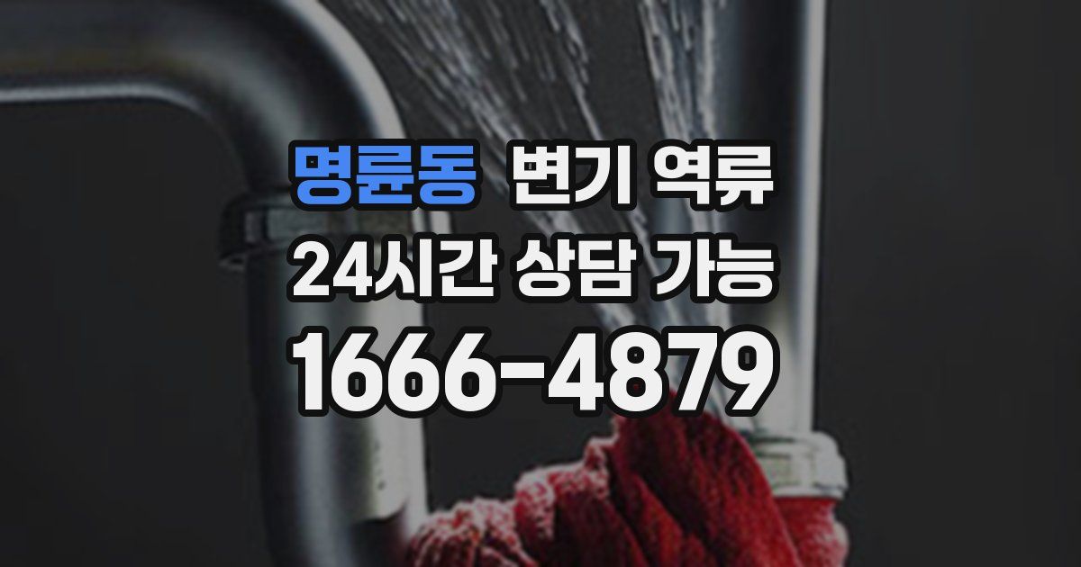 명륜동 변기 역류