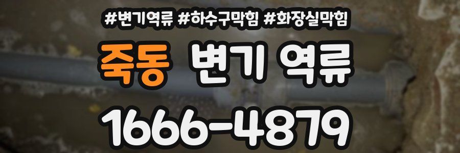 죽동 변기 역류