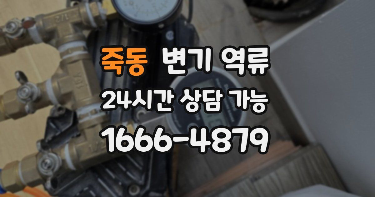 죽동 변기 역류