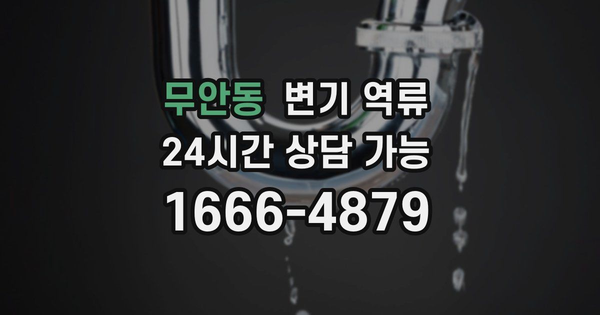 무안동 변기 역류