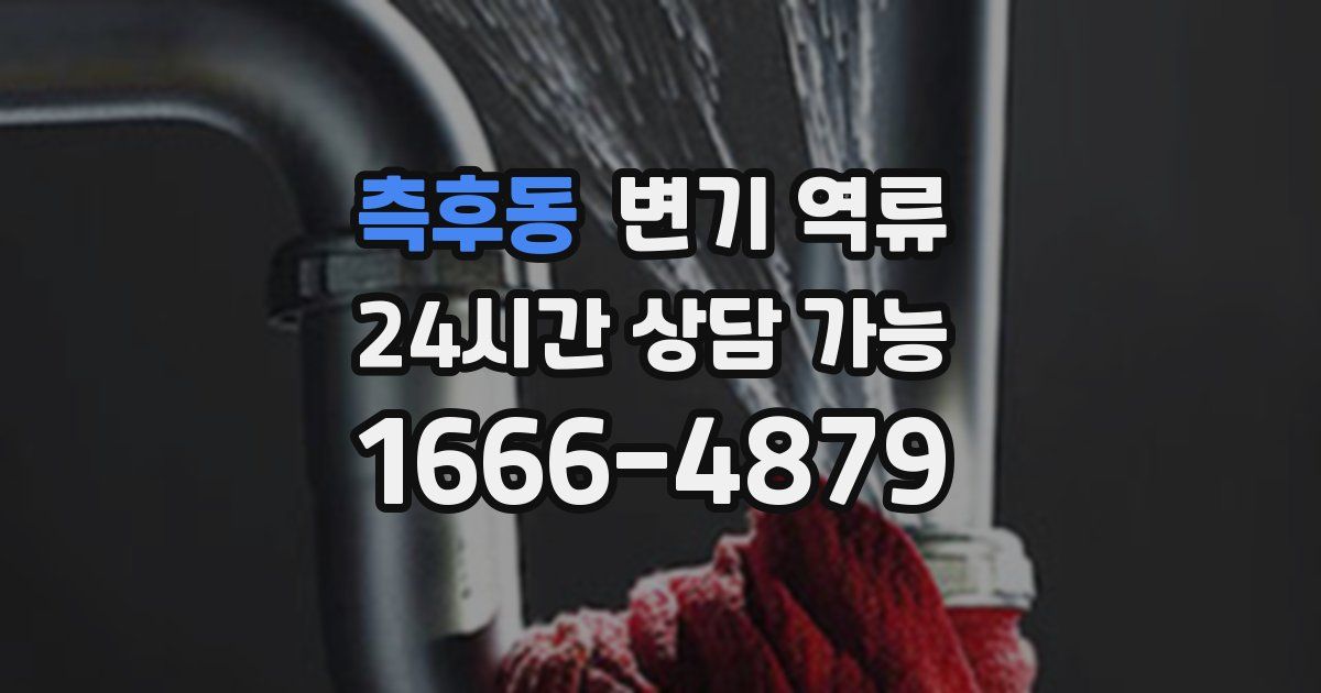 측후동 변기 역류