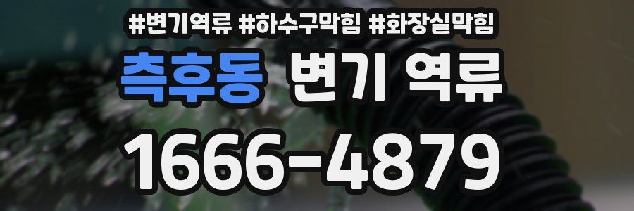 측후동 변기 역류