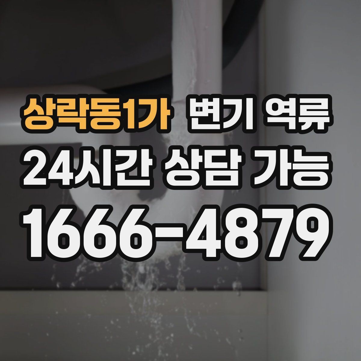 상락동1가 변기 역류 특정 변기만 반복되면 의심할 것