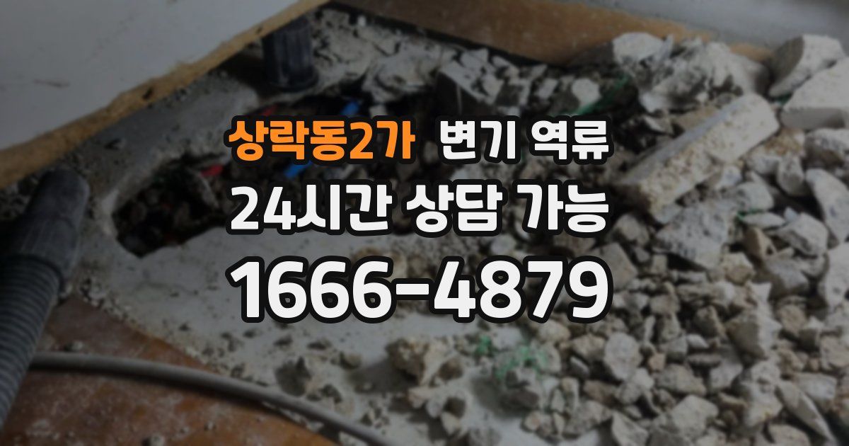 상락동2가 변기 역류