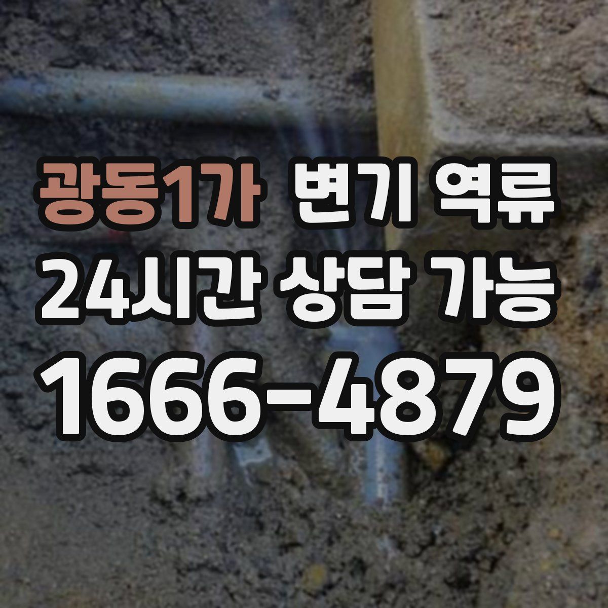 광동1가 변기 역류