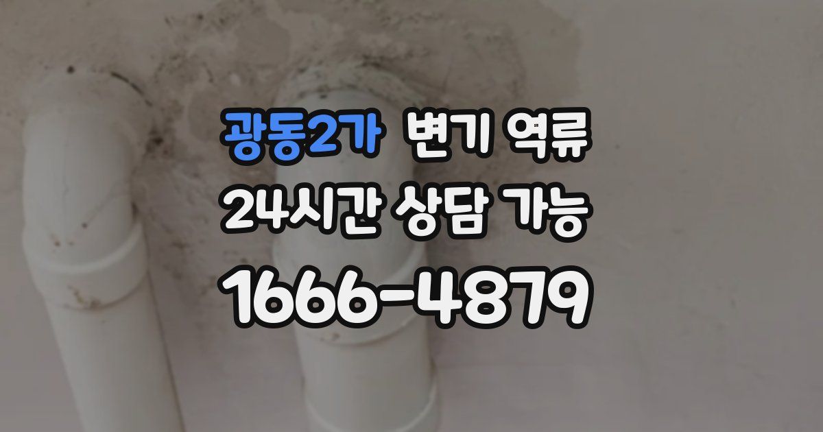 광동2가 변기 역류