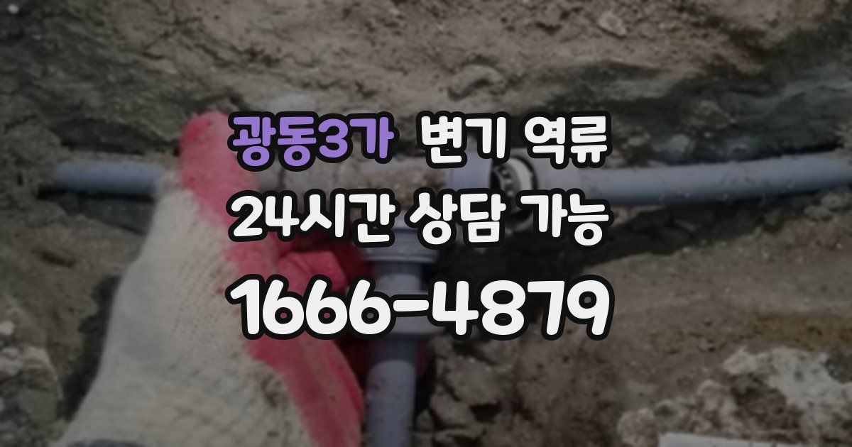 광동3가 변기 역류