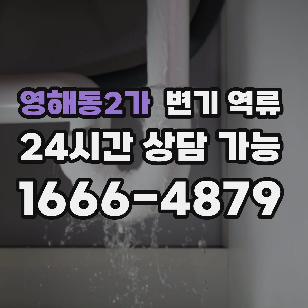 영해동2가 변기 역류