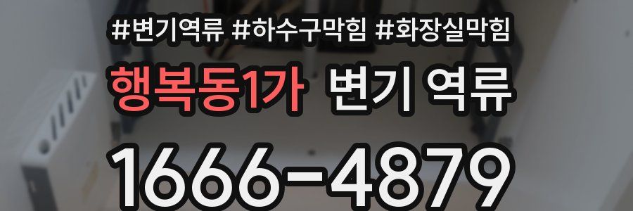 행복동1가 변기 역류