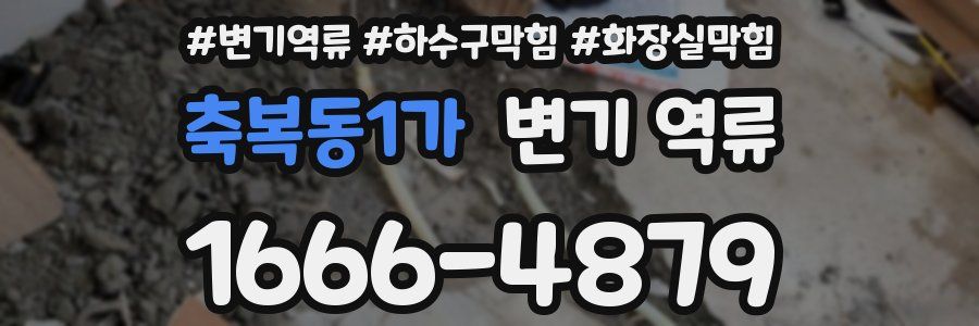축복동1가 변기 역류