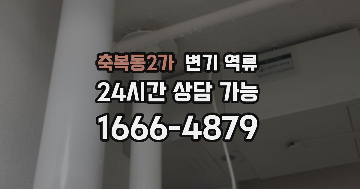 축복동2가 변기 역류