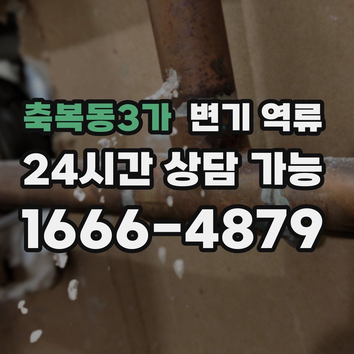 축복동3가 변기 역류 갑자기 물이 차오를 때 가장 먼저 해야 할 일