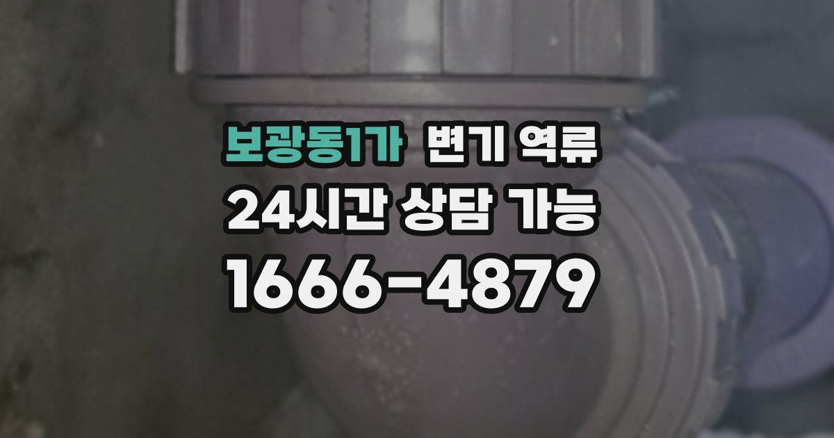 보광동1가 변기 역류