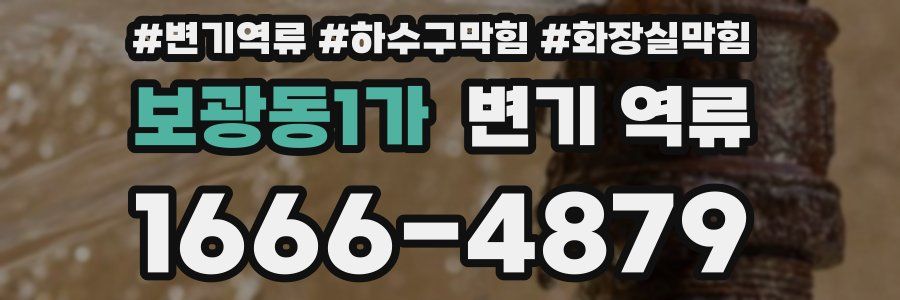 보광동1가 변기 역류