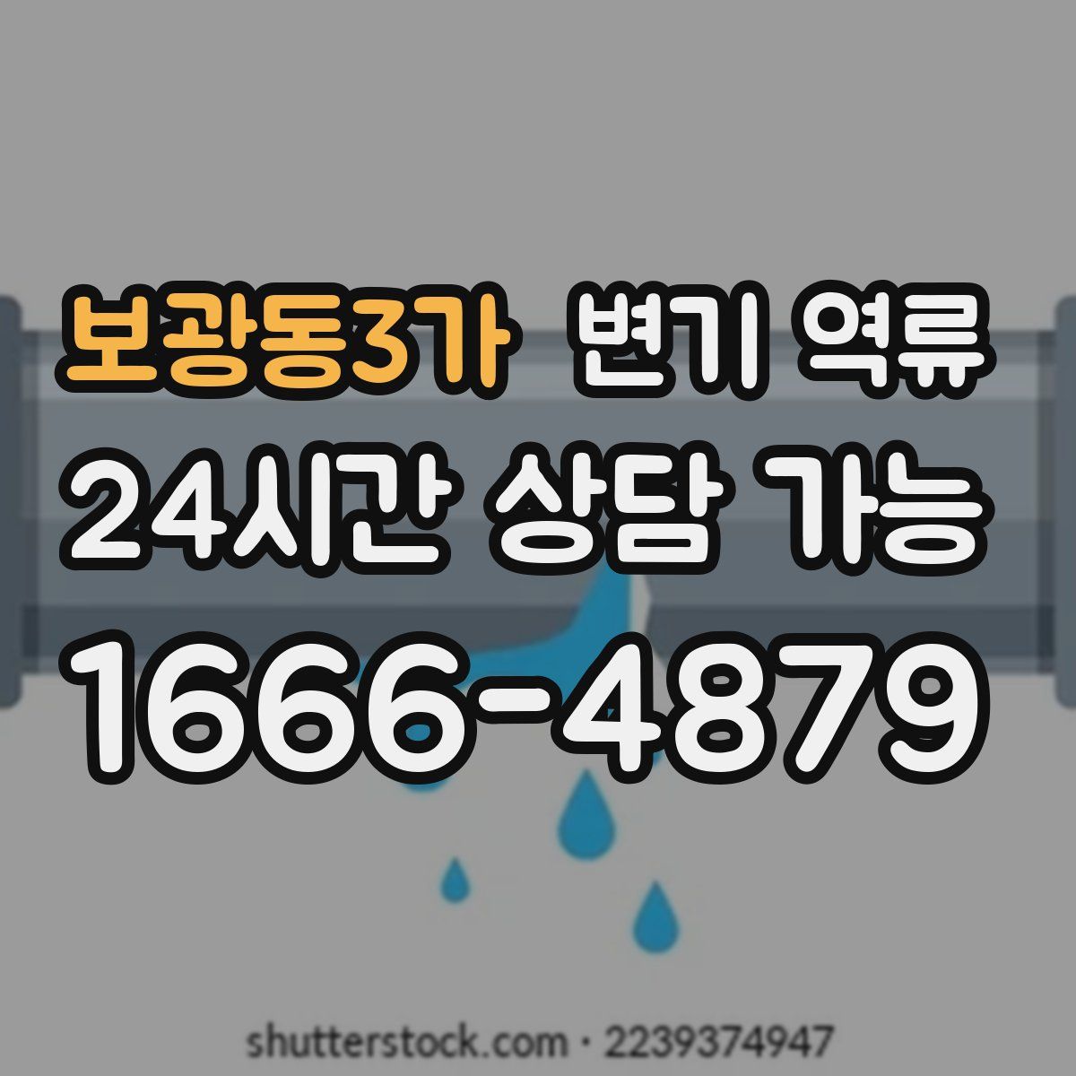 보광동3가 변기 역류