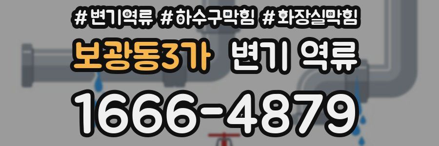 보광동3가 변기 역류