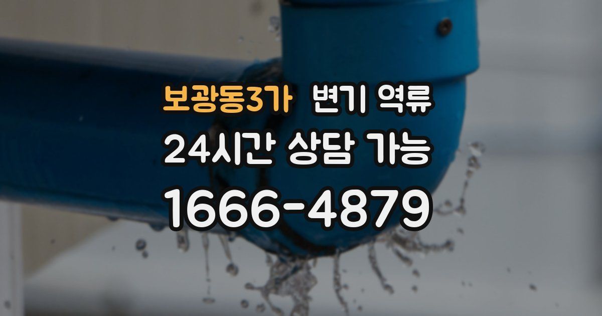 보광동3가 변기 역류