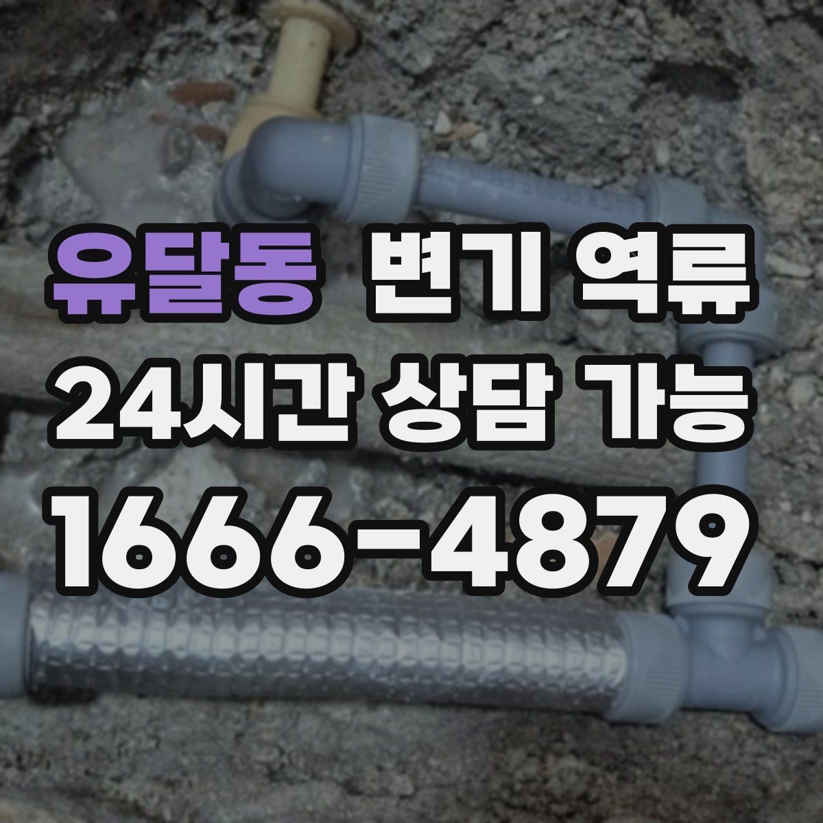 유달동 변기 역류 변기 물이 출렁거리면 배관이 막힌 신호일까