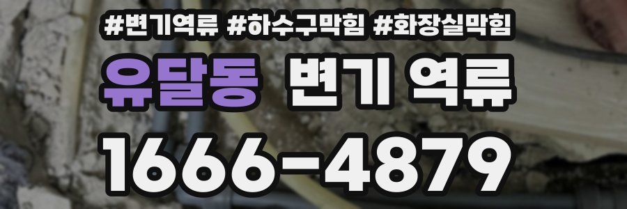 유달동 변기 역류