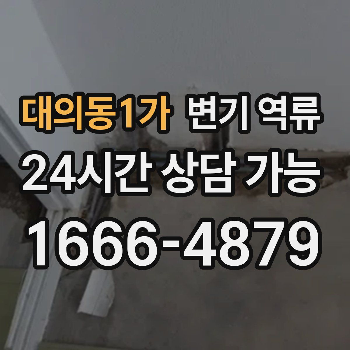 대의동1가 변기 역류