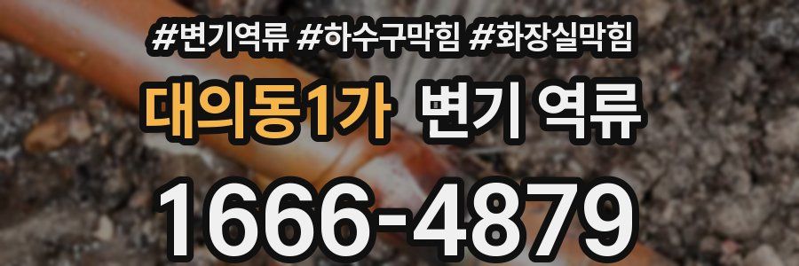 대의동1가 변기 역류