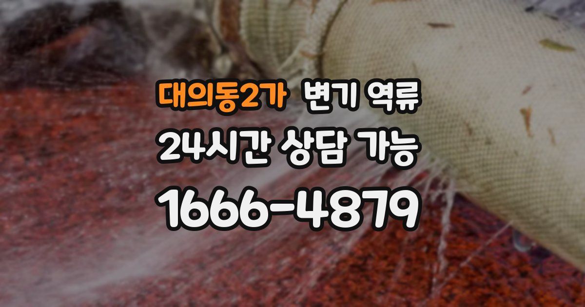 대의동2가 변기 역류