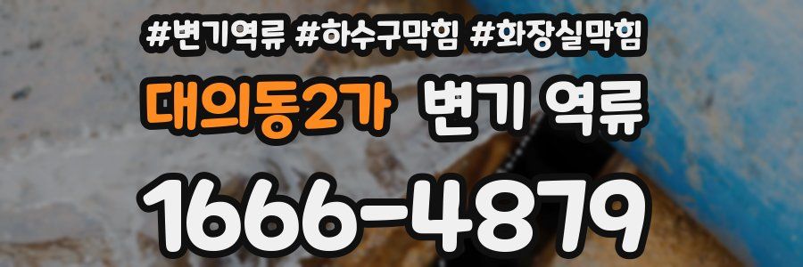 대의동2가 변기 역류