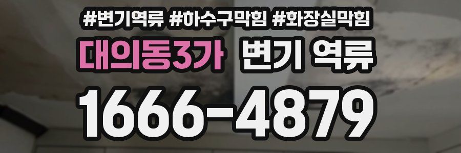 대의동3가 변기 역류