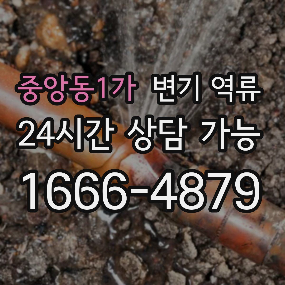 중앙동1가 변기 역류 물이 내려갔다가 다시 올라오는 패턴이 의미하는 것