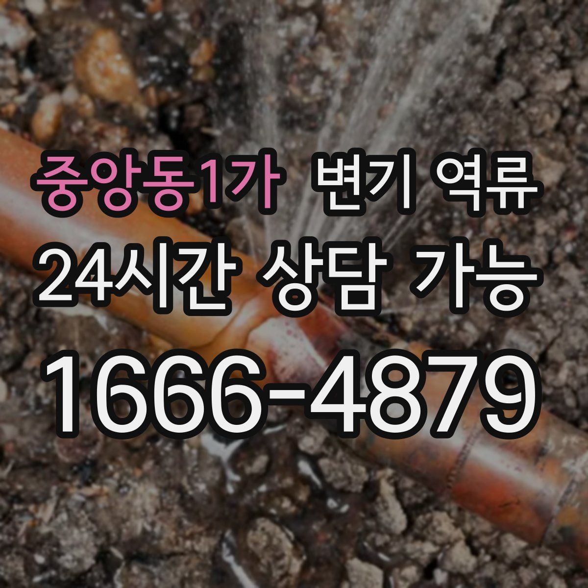 중앙동1가 변기 역류