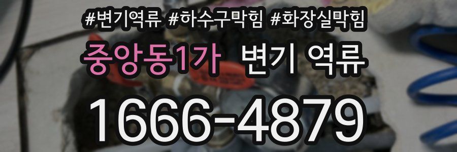 중앙동1가 변기 역류