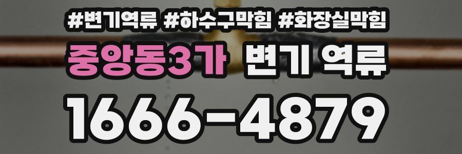 중앙동3가 변기 역류