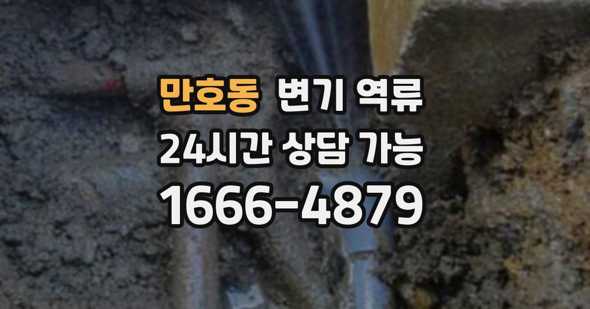 만호동 변기 역류