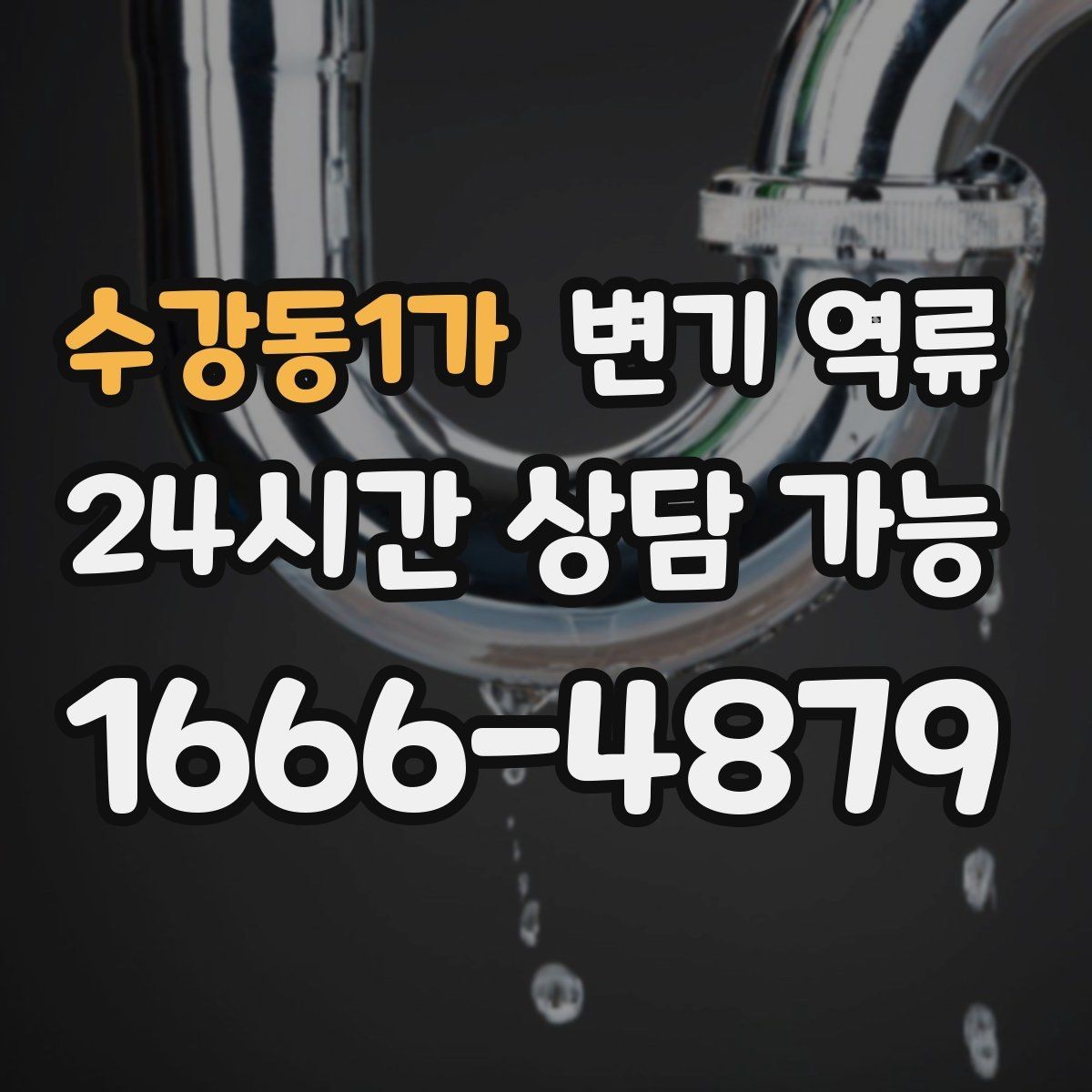 수강동1가 변기 역류 소독을 과하게 하면 오히려 위험한 이유