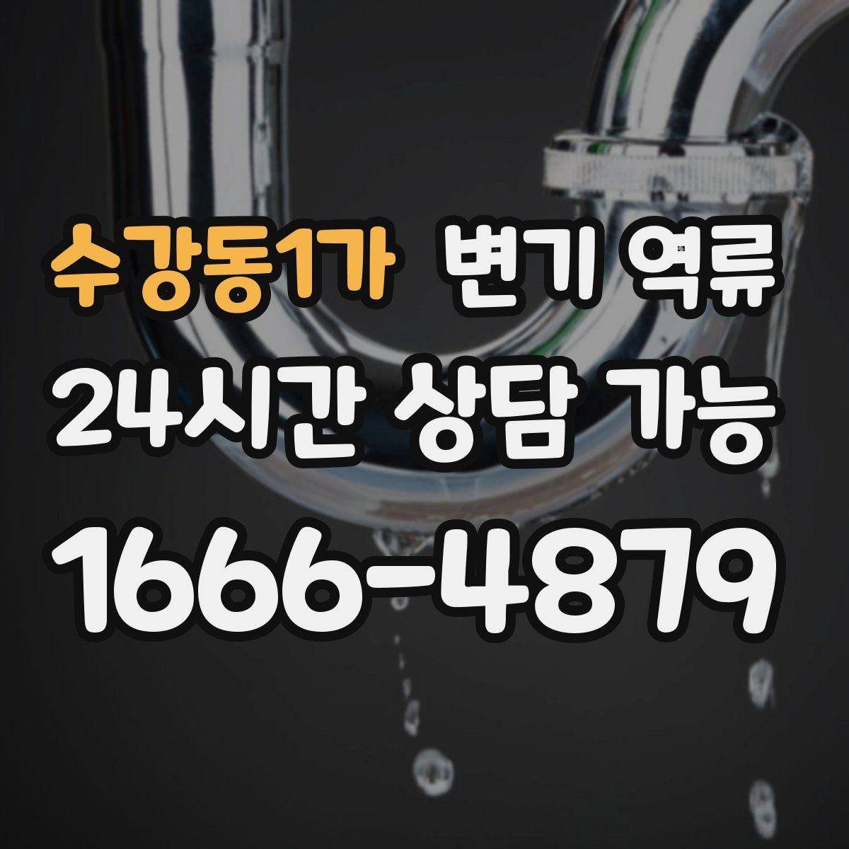 수강동1가 변기 역류