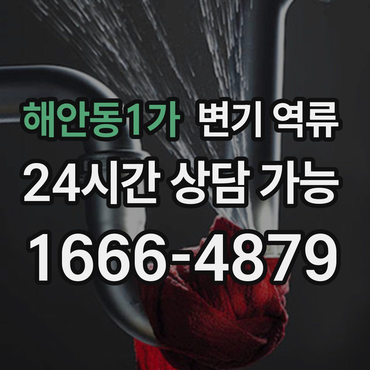 해안동1가 변기 역류